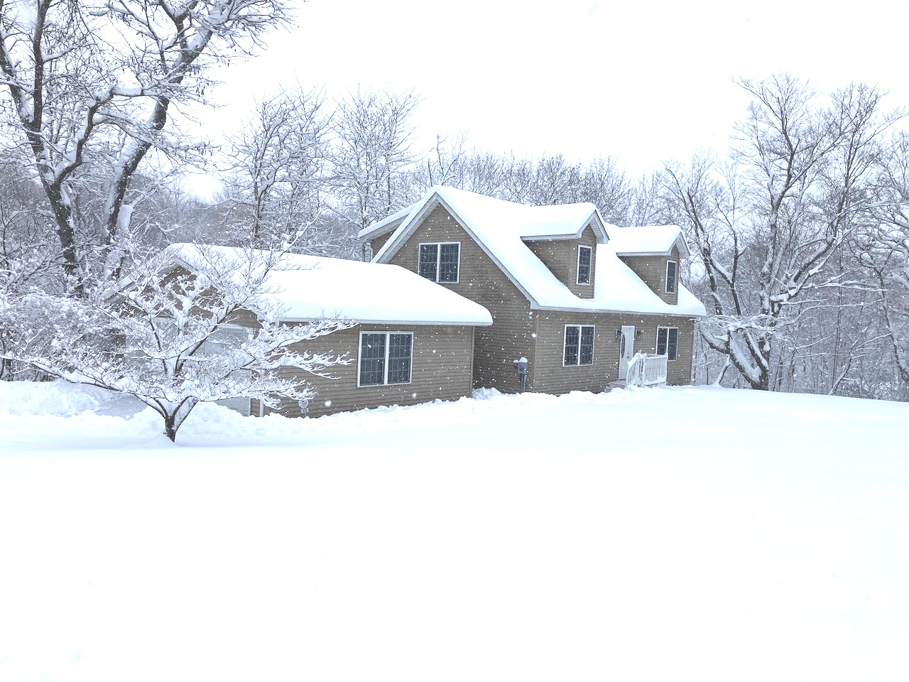 House Winter Wonderland