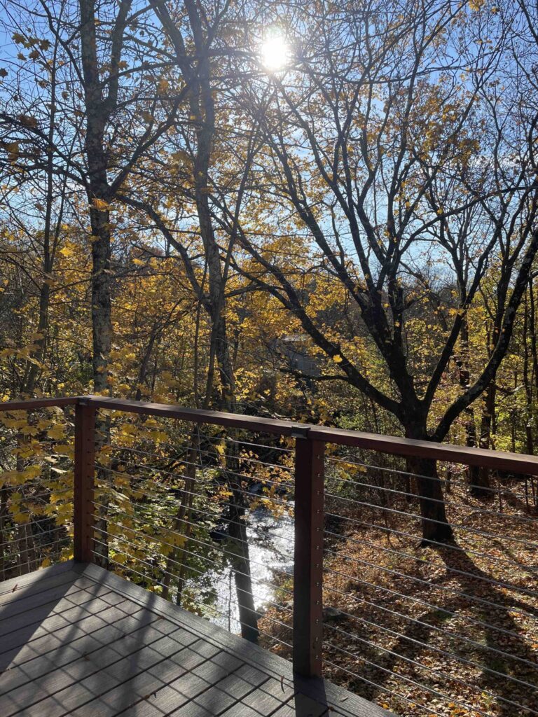 Fall Foliage