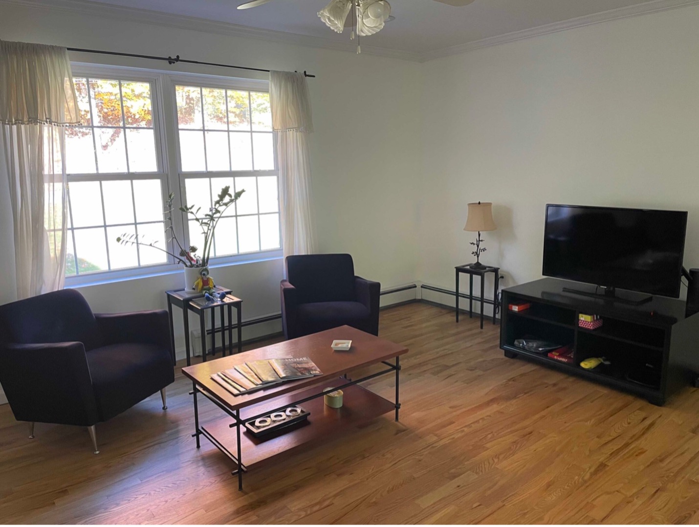 Living Room Painted