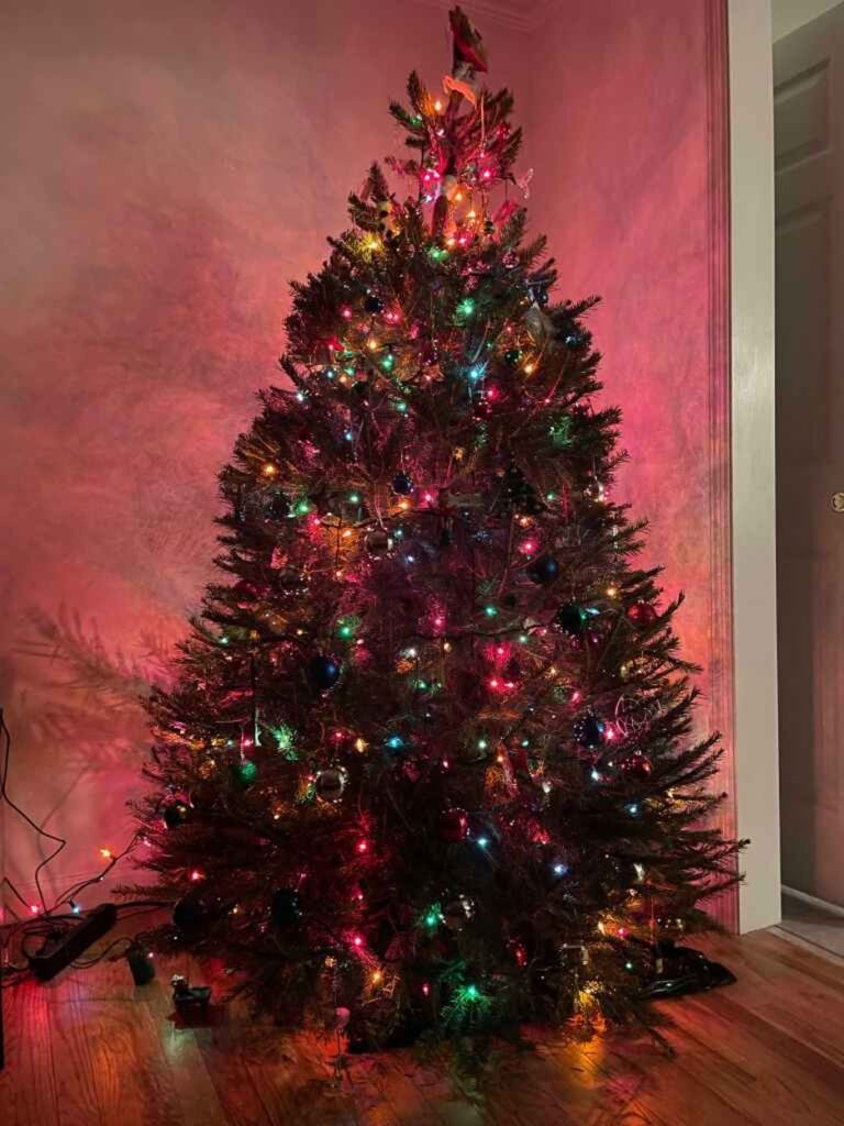 Our Tree All Decorated