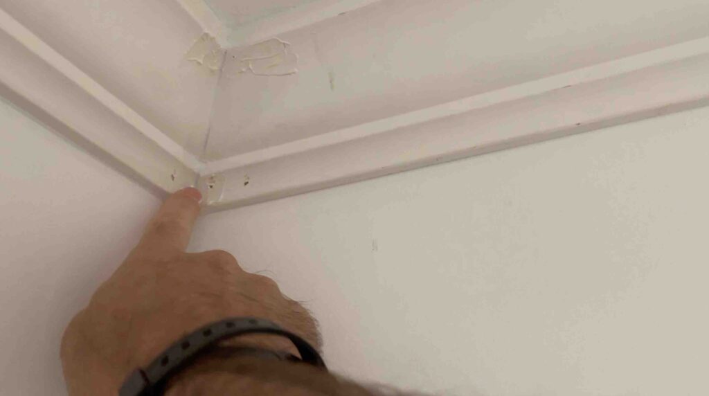 Spackling1