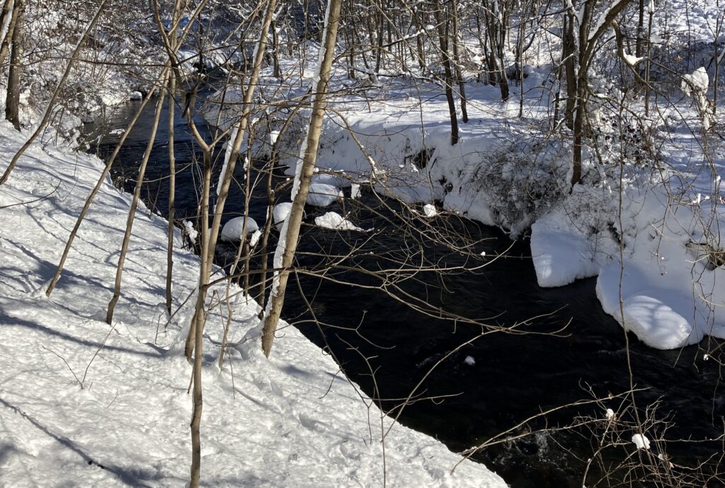 The Creek