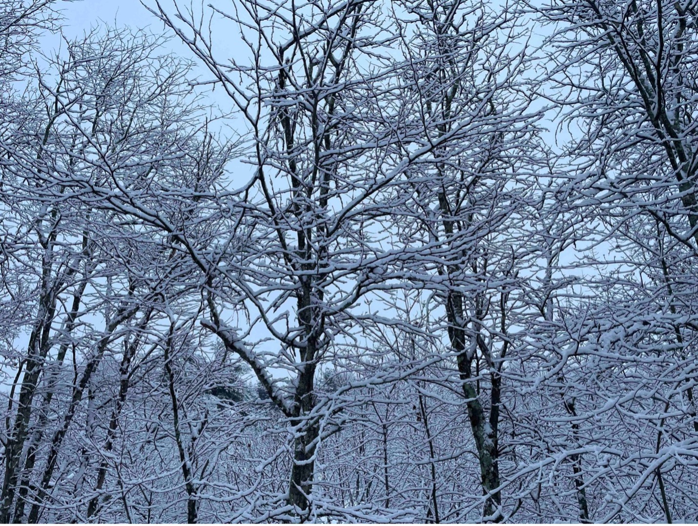 Winter 2024