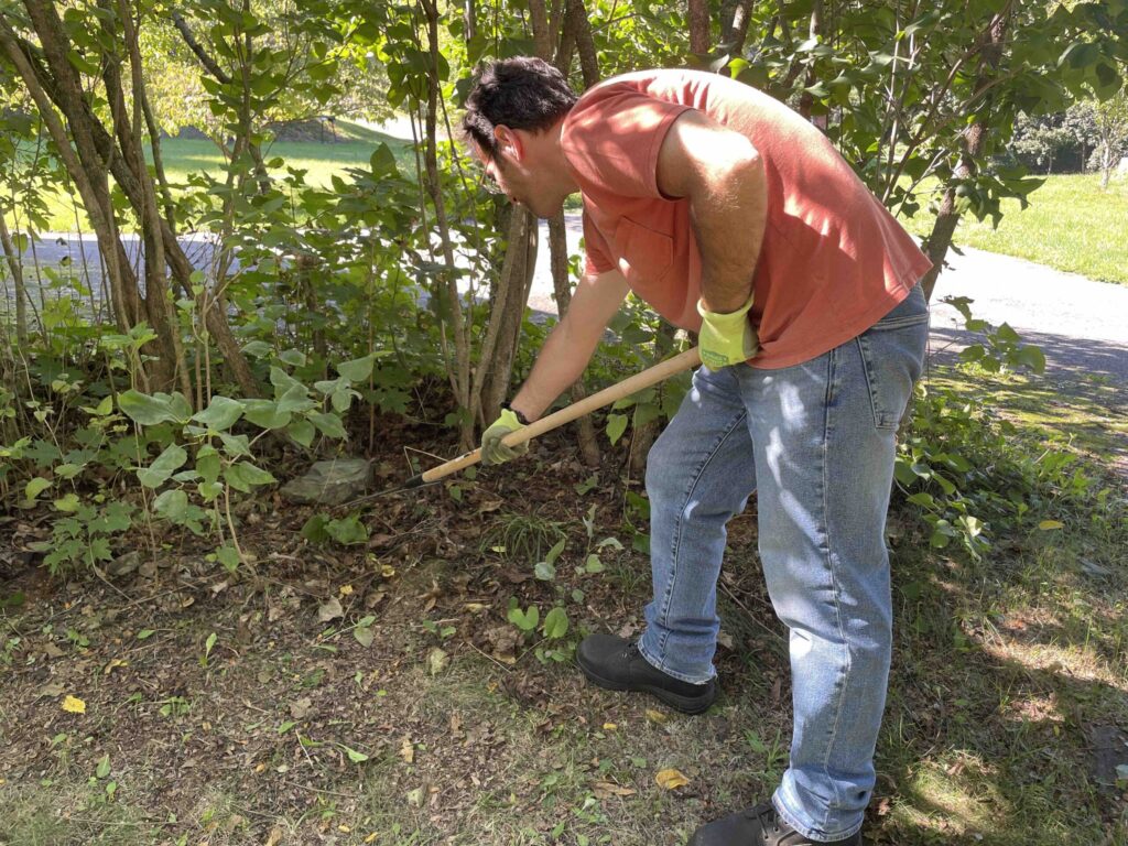 Gardening Rake