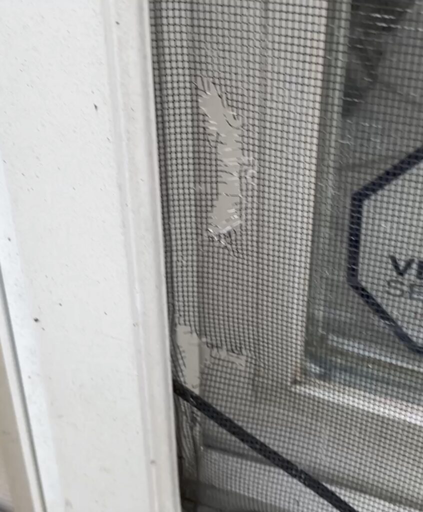 Screen Door Tear3