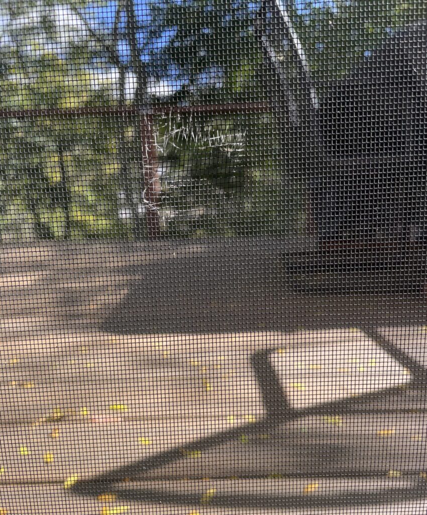 Tear in door from inside1